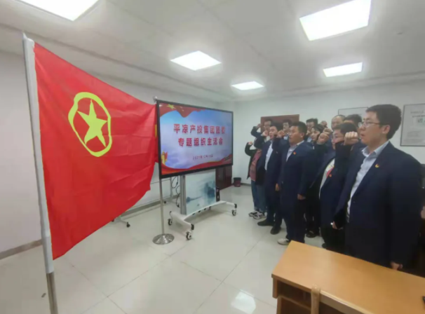 利发官网-利发（中国）
团委召开2021年度专题组织生活会(图5)