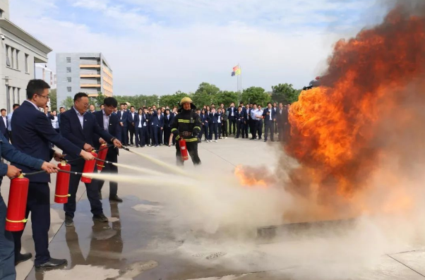 利发官网-利发（中国）
打造“泓源红”党建品牌助推高质量发展(图13)