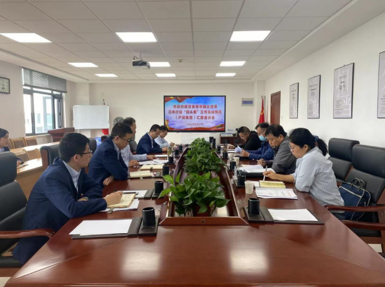 市政府国资委督导利发官网-利发（中国）
国企改革三年行动“回头看”工作完成情况(图1)